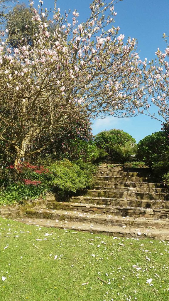 Helford River | Gardens | Cornwall | Budock Vean Hotel