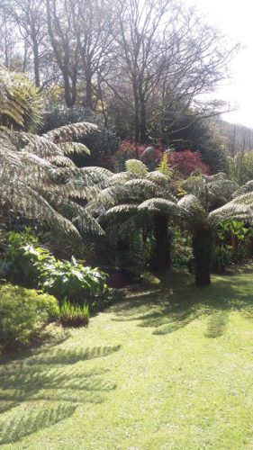 Helford River | Gardens | Cornwall | Budock Vean Hotel