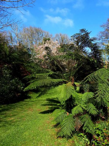 Gardens in Cornwall | Budock Vean Hotel