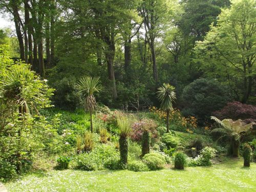 Gardens in Cornwall | Budock Vean Hotel