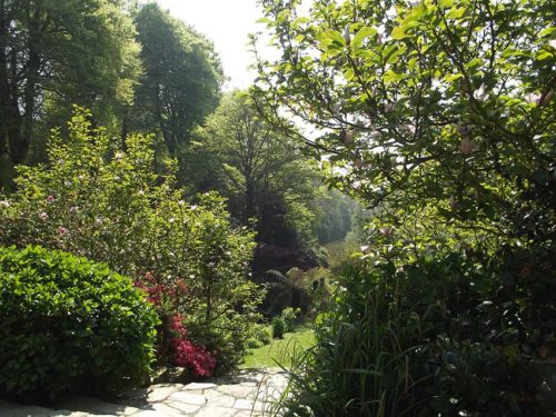 Gardens in Cornwall | Budock Vean Hotel