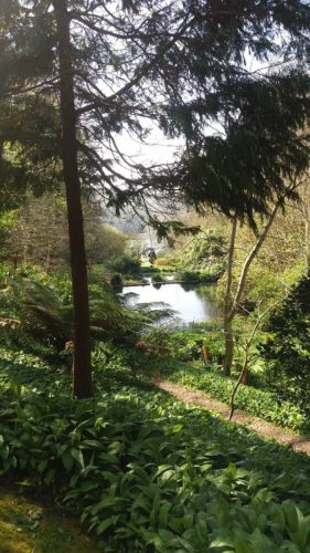 Helford River | Gardens | Cornwall | Budock Vean Hotel