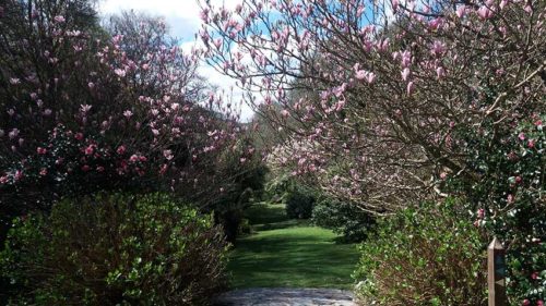 Hotel Gardens | Budock Vean Hotel | Cornwall