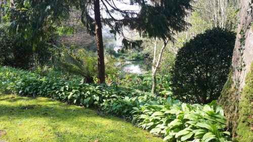 Hotel with Gardens | Budock Vean | Cornwall