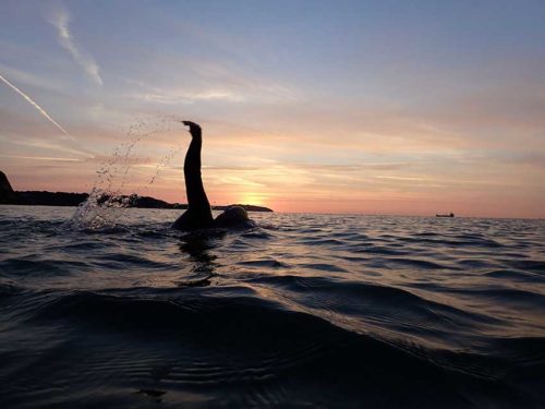 wild swimming budock vean sunrise