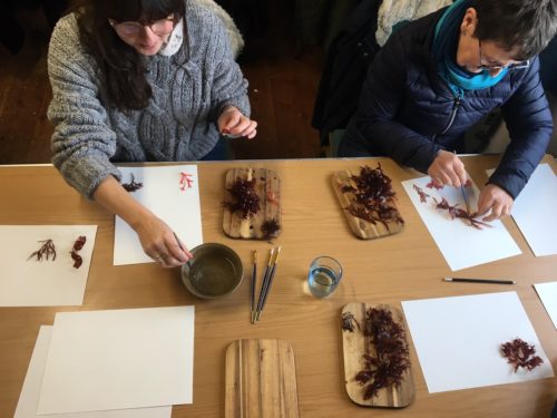 Seaweed Pressing Workshop | Budock Vean Hotel