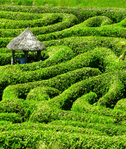 Glendurgan Cornwall