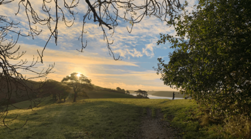 Running Trail | Cornwall | UK