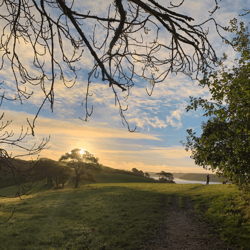 Running Retreat | Budock Vean | Cornwall