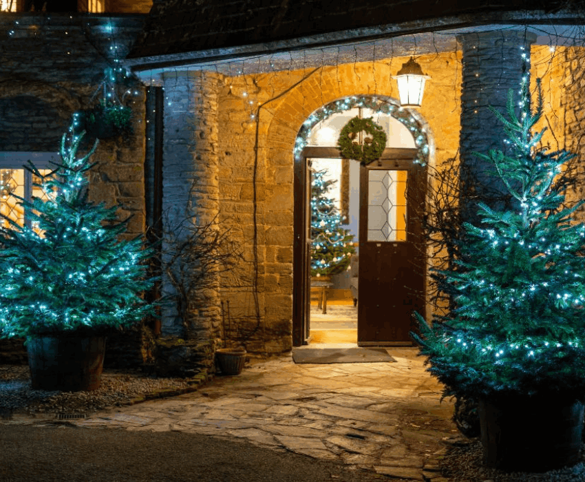 Christmas Trees at Budock Vean | Cornwall | UK