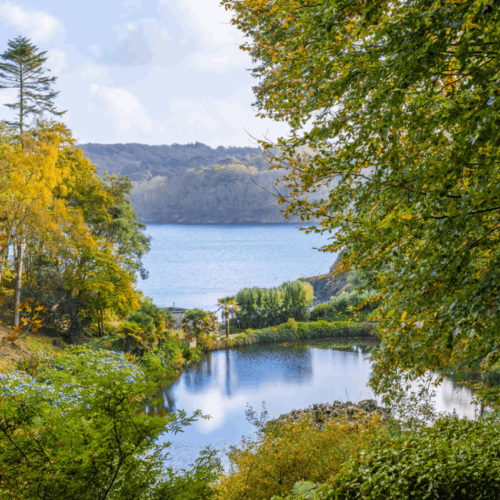 Trebah Garden | Cornwall | UK