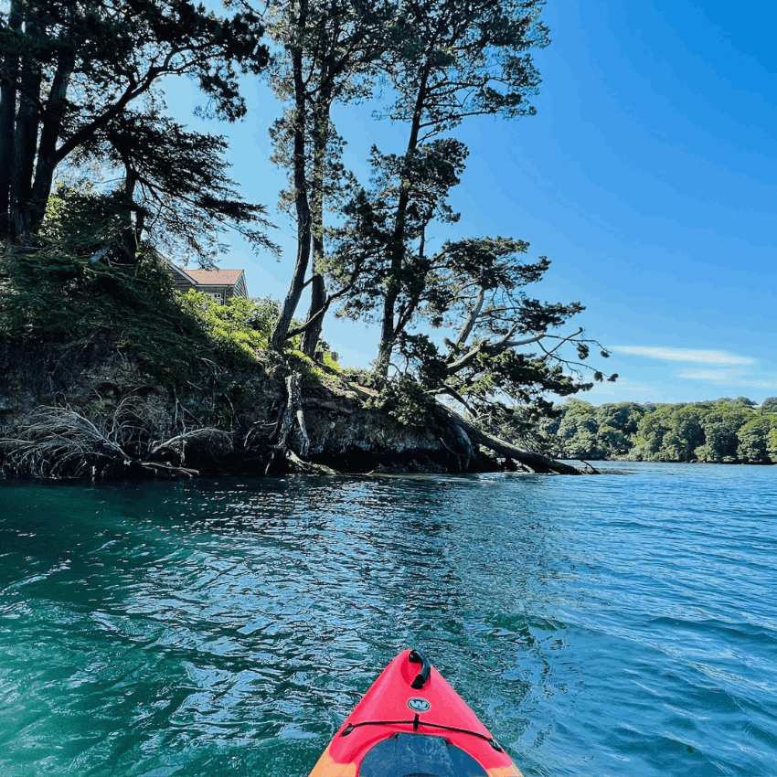 Frenchman's Creek Kayaking