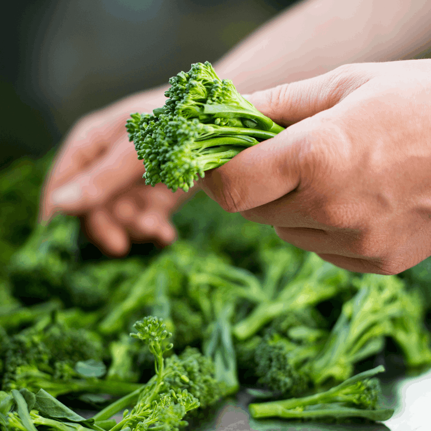 Local Produce | Budock Vean Hotel | Cornwall | UK