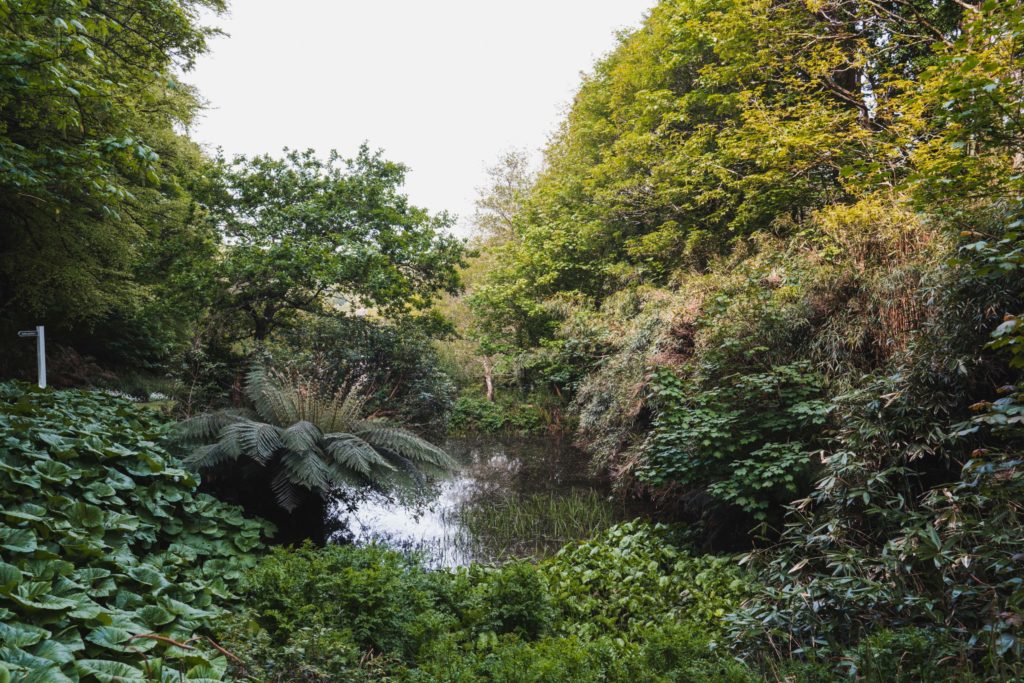 Budock Vean Gardens