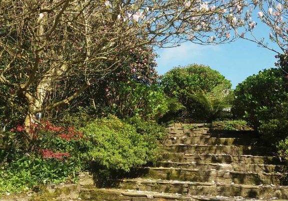 Helford River | Gardens | Cornwall | Budock Vean Hotel