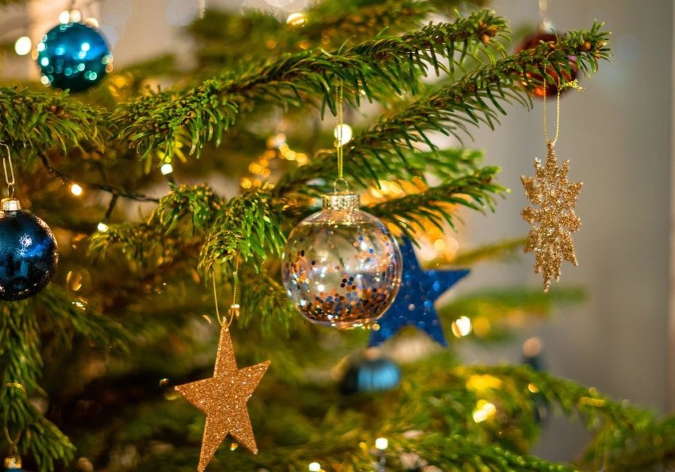 Christmas Party Nights - 2021 - Medium