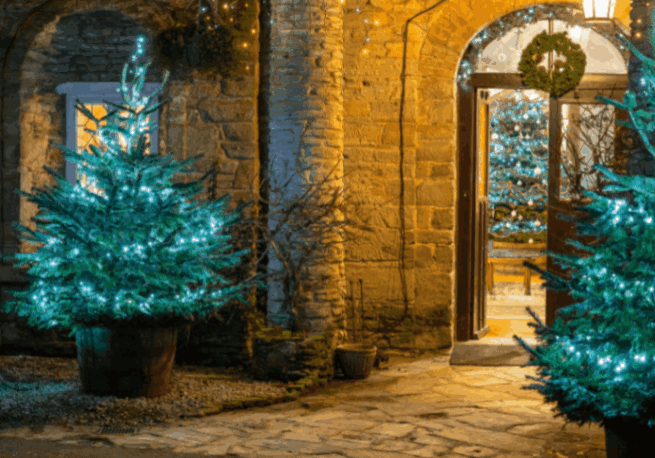 Christmas Trees | Budock Vean Hotel | Cornwall | UK