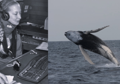 Clare Sykes Whale Song Supper Club | Budock Vean Hotel
