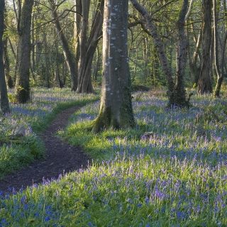 Cornwall Wildlife Trust Nature Reserves