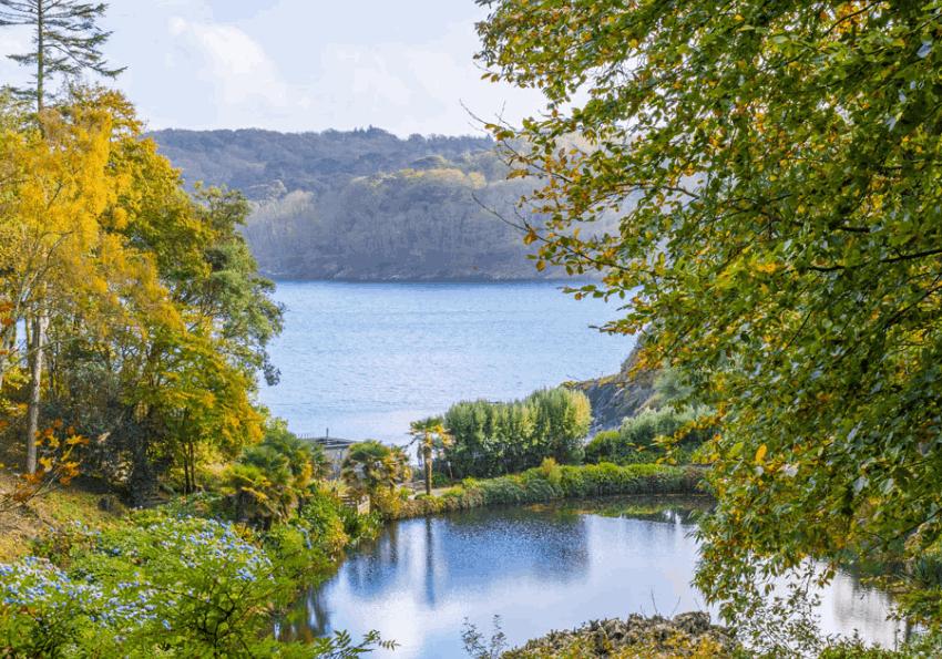 Trebah Garden | Cornwall | UK