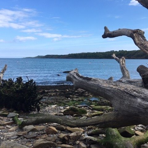 Durgan Helford River Coast Path