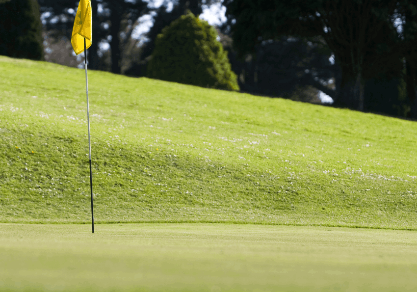 Golf BV Golf at Budock Vean Hotel