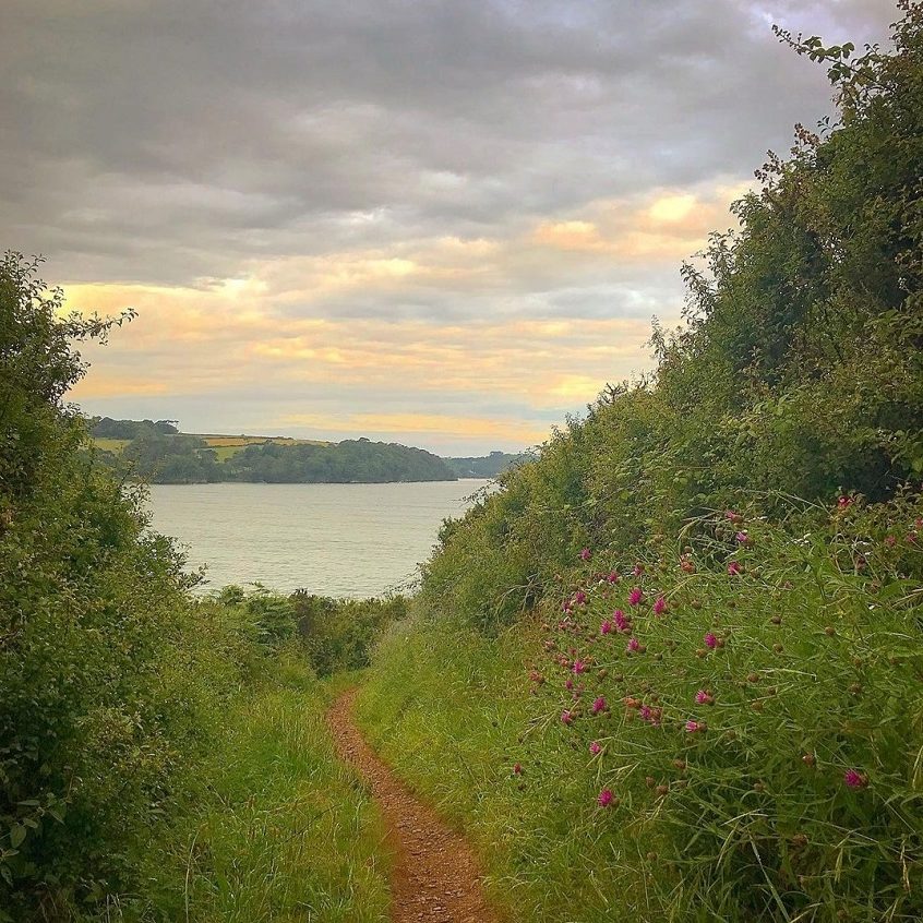 Helford River Coast Path Cornwall cPaul Miller