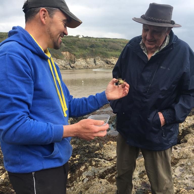 The Rockpool Project, Cornwall