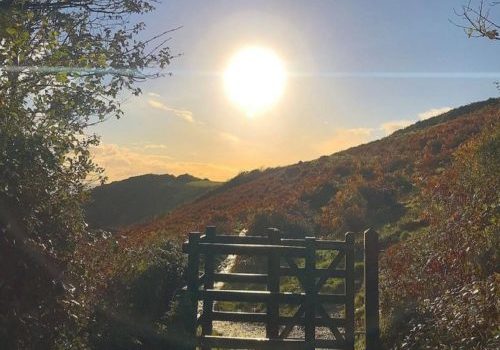 Path to Rosemullion Head Helford River Cornwall