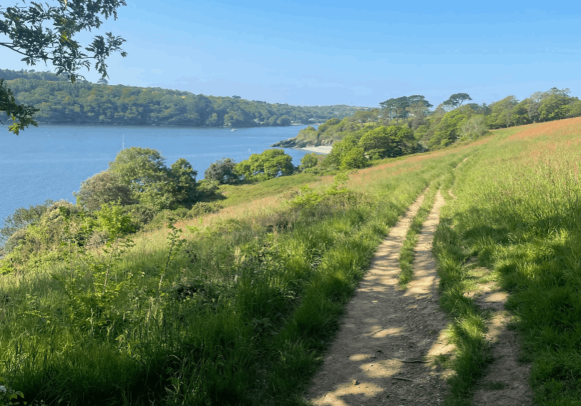 Running Trail Running Retreat | Cornwall | UK