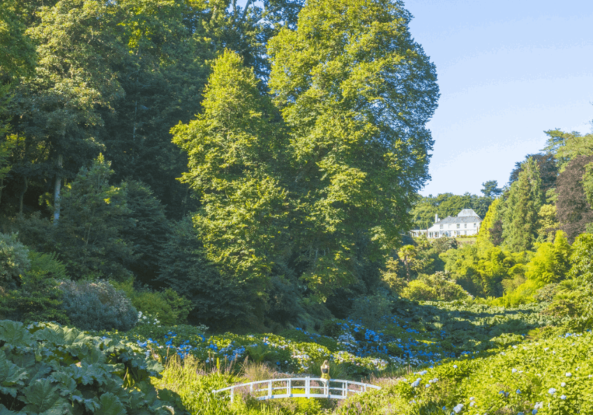 Trebah Garden | Cornwall