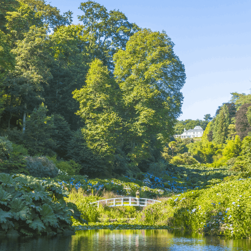 Trebah Garden | Cornwall