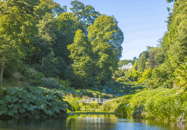 Trebah Garden | Cornwall