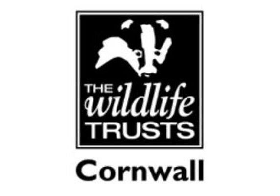 cornwall-wildlife-trust-logo1
