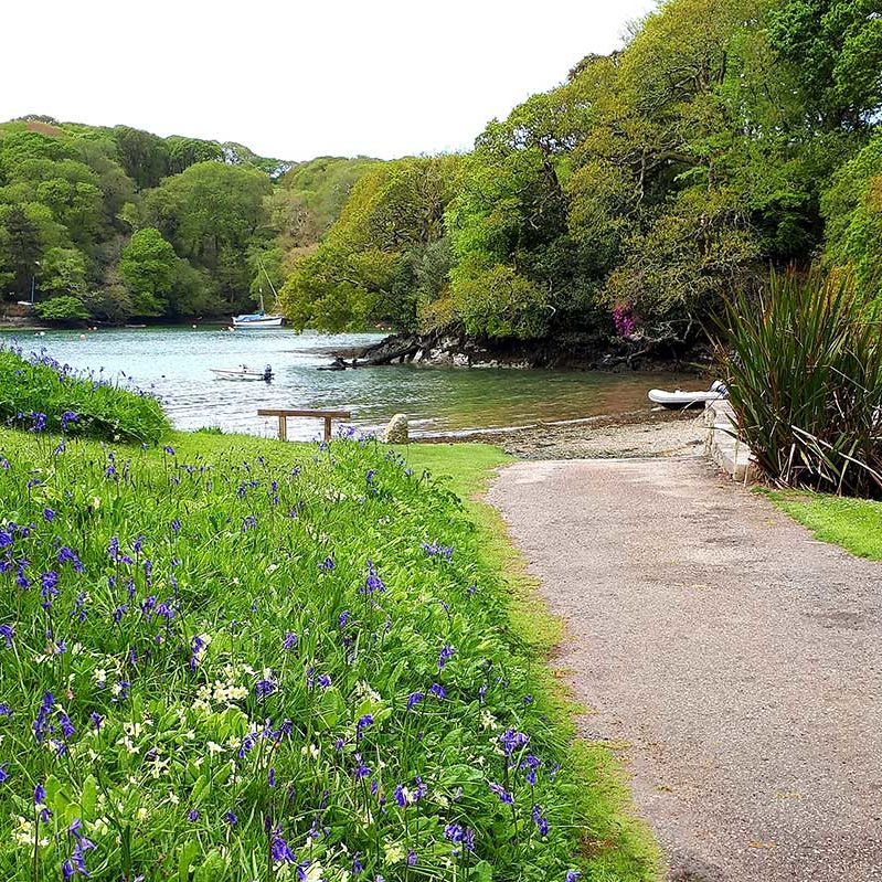 Budock Vean Hotel Foreshore | Cornwall