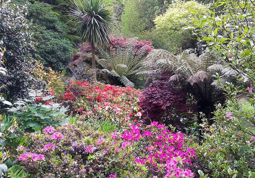 Hotel with Gardens in Cornwall | Budock Vean