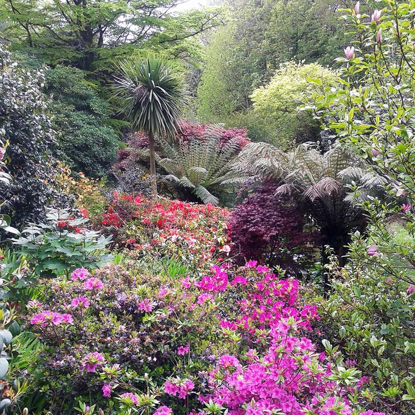 Hotel with Gardens in Cornwall | Budock Vean