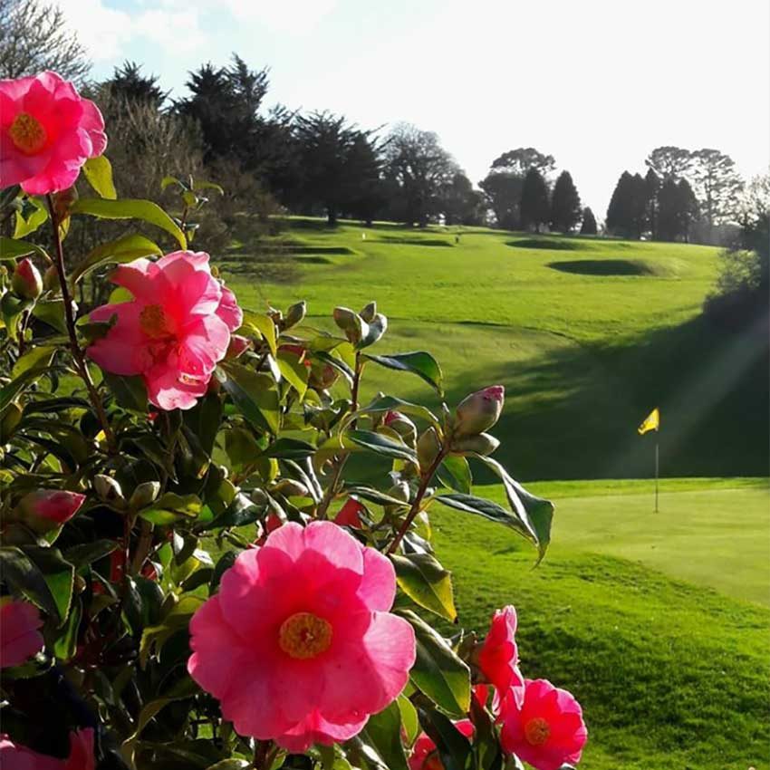 Golf Course in Cornwall | Budock Vean Hotel