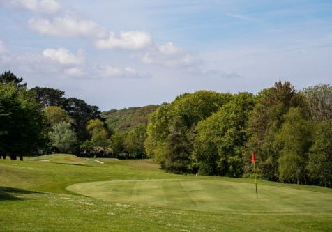 jpeg-optimizer_Golf_BV_May25-14